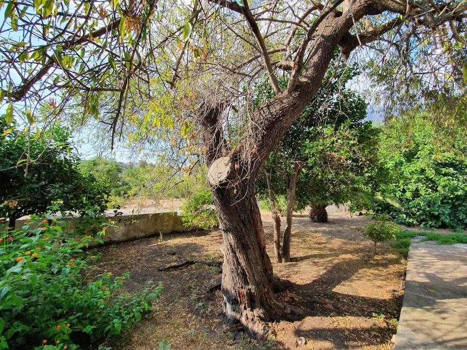 Stromboli Vacanze Экстерьер фото